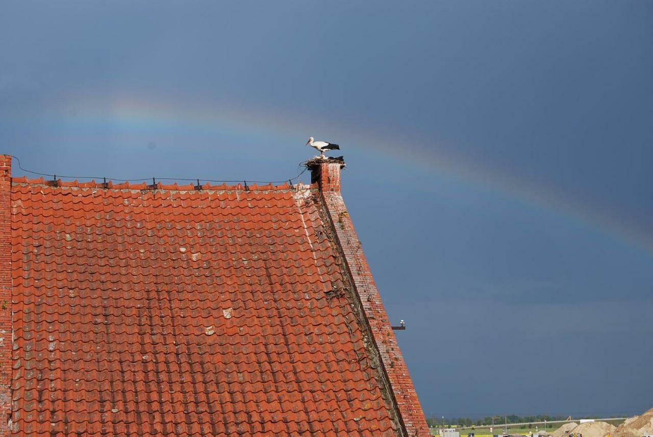Ranczo Ryki Villa Nowy Dwór Gdański Bagian luar foto
